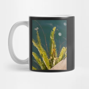 Bracken on the Harbour Mug